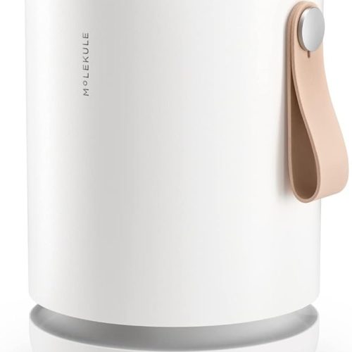 Molekule Air Mini+ | Air Purifier for Small Home Rooms up to 250 sq.