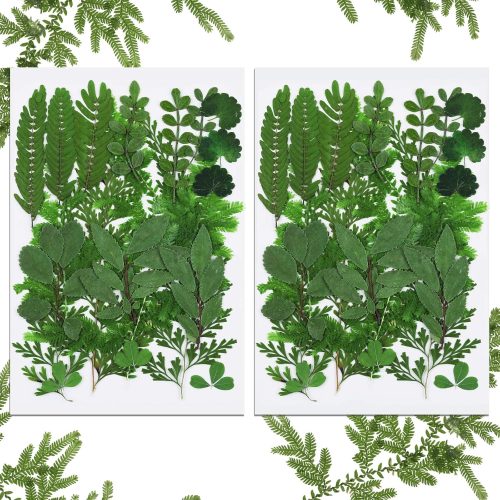 42 Pieces Dried Pressed Leaves for Resin Real Assorted Dried Greenery for Pressed Leaf Art Craft DIY Embellishment Decorations, 7 Styles