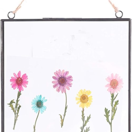 CT0318-PFS-30GT_1 Glass Frame for Pressed Flowers, Wall Floating Brass Picture Frame for Pressed Flower, 11 x 8 Inch Large Copper Double Glass Photo Frame, Hanging Frame for Artwork Certificate Display(Black)