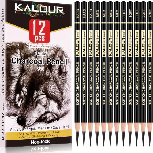 CT0324-CH-02GT_1 KALOUR Professional Charcoal Pencils Drawing Set -12 Pieces Soft, Medium and Hard Charcoal Pencils for Drawing, Sketching, Shading, Artist Pencils for Beginners & Artists