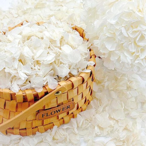 1250+ Real Dried Lvory White Hydrangea Petals - 0.88 oz Preserved Natural Flower Petals for Wedding Decor, Flower Girl, Party Confetti, Dinner Table Centerpieces, Handcrafts