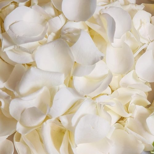 Dried Real White Rose Petals, Freeze Preserved Flower Petals 1.75oz for Valentine's Day Gifts Wedding Party Decor, Flower Girl, Dinner table Centerpieces, Bridal Shower, Flower Confetti 50g