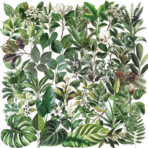 50PCS Leaf Stickers PET Transparent Stickers Nature Green Decals Waterproof Decorative Decals for Scrapbook DIY Crafts Album Bullet Journal Planner Water Bottles Phone Cases Laptops (Leaf)