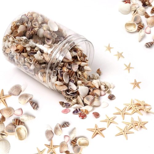 1200 Pcs Small Shells Small Natural Starfish ,Shells for Crafts Mixed Seashells for Home Decorations,Beach Theme Party,DIY Crafts and Vase Filler