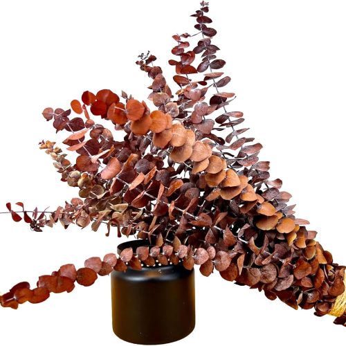 (20Pcs) Dried Eucalyptus Stems - Red, Fall Decorations for Home, Real Long Eucalyptus, Dried Flowers for Vase, 17" Floral Arrangement, Wedding (Orange)