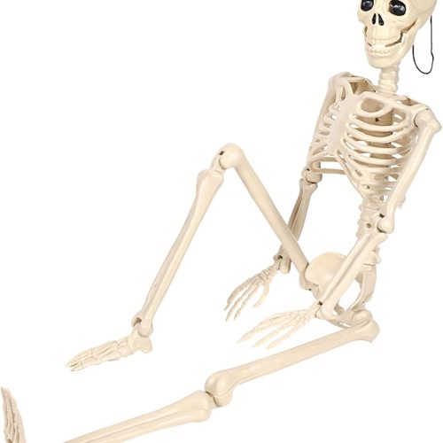 36.6 Inches Poseable Full Body Hanging Skeleton Decoration, Life-Size Halloween Skeleton Prop with Movable Joints, Indoor Outdoor Halloween Decorations for Parties, Haunted House, and Yard Décor