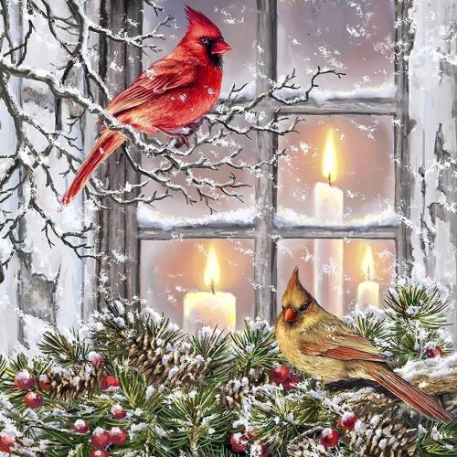 YPF Christmas Diamond Painting Kits for Adults Diamond Art Kits for Kids Beginner DIY 5D Full Drill Crystal Arts and Crafts Gem Art Painting with Diamonds Dots Home Wall Decor 12x16inch