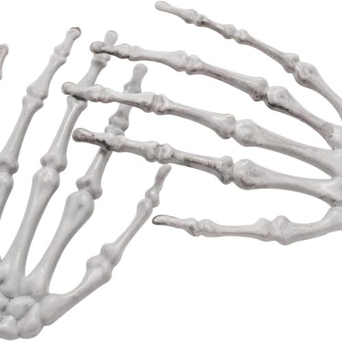 Halloween Decoration Outdoor Skeletons Arms, Realistic Life Size Plastic Skeleton Hand Arms, Scary Skeleton Arms Halloween Props for Outdoor Indoor Haunted House Graveyard Decor
