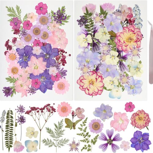 50Pcs Dried Pressed Flowers Resin Mould Real Pressed Flowers Natural Dry Leaves Bulk Mixed Colorful Daisy Herbs Kit with Tweezers for Scrapbooking DIY Candle Jewelry Crafts Making Nails(Purple)