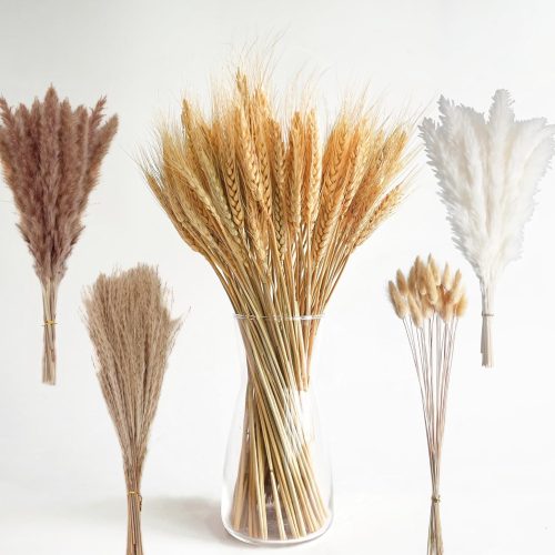 Dried Wheat Stalks and Pampas Grass Decor – 5 Types of Natural Dried Florals Including Wheat, Pampas Grass, Bunny Tails, and Dried Flowers – Fall Floral Arrangements for Vase, Farmhouse & Table Decor