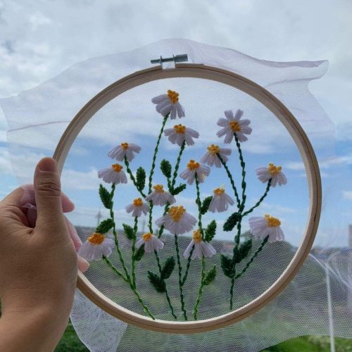 Full range embroidery kits for beginners stamped embroidery kit includes embroidery cloth with pattern embroidery hoop instruction color embroidery floss threads set and needles (Daisy)