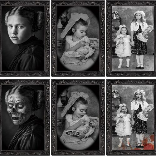Halloween Decoration Scary Indoor Wall Decor, 3Pack 3D Changing Face Moving Picture Frame Gothic Portraits Horror Halloween Party Decor for Home Castle Haunted House Props
