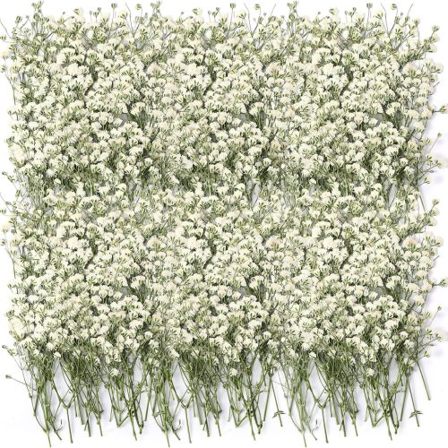 100 Pcs Dried Babys Breath Flowers Bulk Babys Breath Real Pressed Flowers Natural Gypsophila for Resin Wedding Art Craft Baby Shower DIY Invitations Scrap Booking Card Making(Ivory White)