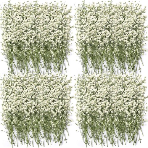 Lasnten 200 Pcs Mini Dried Babys Breath Pressed White Flowers Bulk Real Natural Flat Gypsophila Baby's Breath for Wedding Invitations Card Making Bookmark Candle Resin Art Craft DIY Home Party Decor