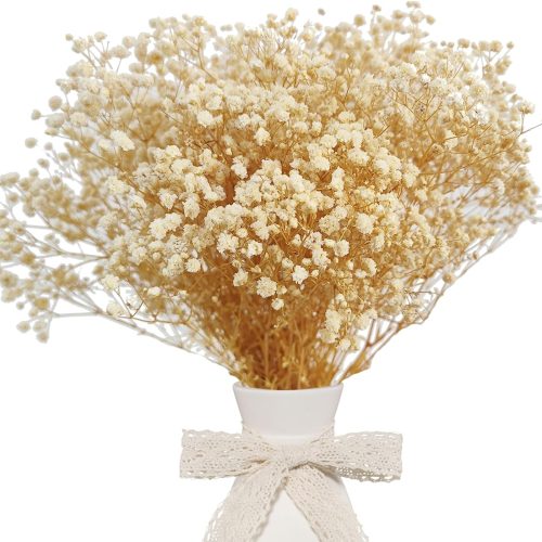 Dried Babys Breath Bulk Natural Dried Gypsophila Flowers White Babys Breath Stems for Home Decor, Weddings, Crafts