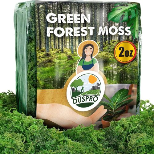 Duspro [Upgraded] Green Moss for Crafts, Real Forest Moss Potted Plants, Decorative Mosses for Table Centerpieces Wedding Christmas Fairy Party Decor, Indoor Planters, DIY Project (2 Oz)