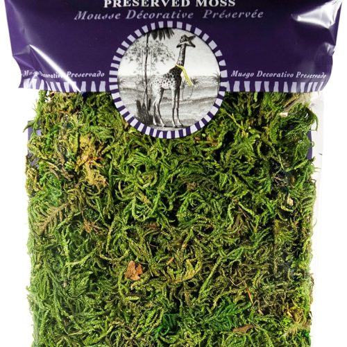 SuperMoss (25320) Forest Moss Preserved, Fresh Green, 2oz