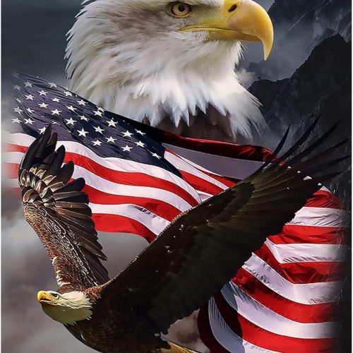 KTHOFCY 5D DIY Diamond Painting Kits for Adults Kids Eagle and Flag Full Drill Embroidery Cross Stitch Crystal Rhinestone Paintings Pictures Arts Wall Decor Painting Dots Kits 15.7X11.8 in
