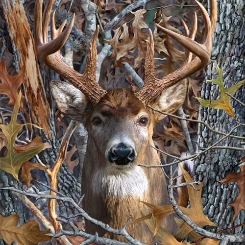 TISHIRON Deer Diamond Art Painting Kits 5D Diamond Full Drill, Forest DIY Diamond Art Kits for Adults Kids, Gem Art Painting with Diamonds, Arts and Crafts for Beginners Adult Kids Wall Decor 12x16
