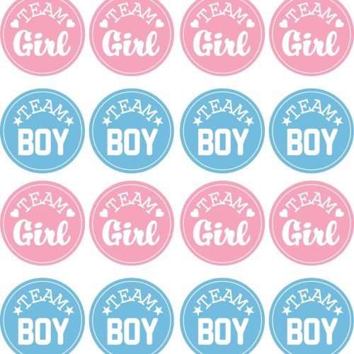 Pink and Blue Gender Reveal Party Stickers - 100 Count, Team Boy and Team Girl Voting Labels for Baby Shower and Gender Reveal Decorations