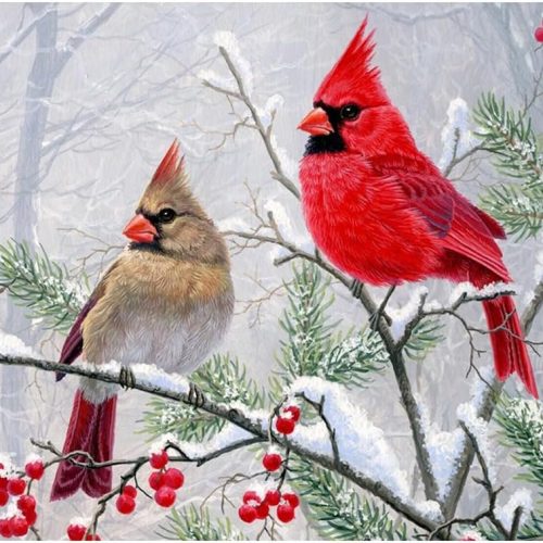FHBUBPUP Diamond Art Painting Kits for Adults, Cardinal Birds Diamond Art Kits for Beginners, DIY Winter Gem Art Craft for Home Wall Decor, Great Gift for Kids 16x12inch