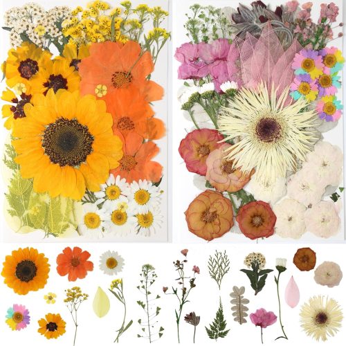 100Pcs Dried Pressed Flowers for Resin,Real Pressed Flowers Mixed Colorful Daisy Dry Leaves Kit for Scrapbooking DIY Art Crafts Jewelry Making Soap Candle Nails Decor