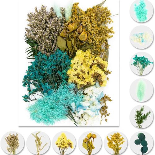 Vignee Real Dried Pressed Leaf Flowers-Multiple Colorful Pressed Flowers Daisies for Craft Resin Jewelry Making Art Craft DIY（Violet）