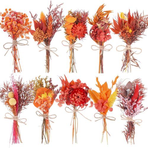 10 Pack Fall Decor Dried Flowers Bouquets Burnt Orange Flowers with Stems Natural Dried Flowers for Small Vase Fall Decorations for Home Floral Arrangement for Autumn Harvest Thanksgiving Table Decor