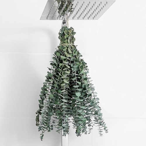 10 Pcs Dried Eucalyptus Stems 17" Real Eucalyptus for Shower Hanging 100% Made from Fresh Leaves, Wedding, Home, Farmhouse, DIY Spring Decor Bathroom Decor Home Decor