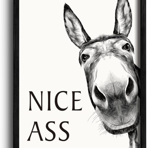 1 ramed Bathroom Art Wall Decor Farmhouse Home Decor Sets Vintage Funny Signs (11"x14" Black Framed, Donkey)
