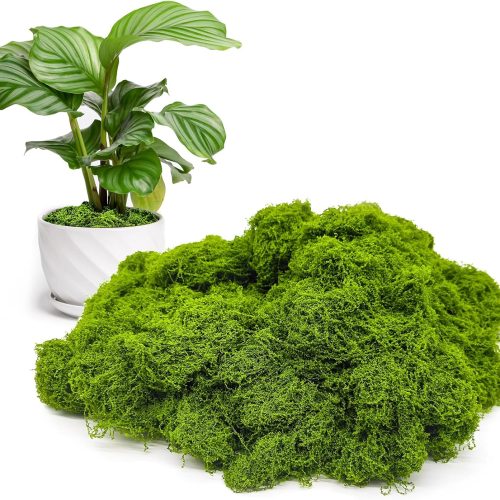 Fake Green Moss for Potted Plants Indoor, 5.3oz Artificial Moss for Crafts, Faux Moss Decor for Fairy Garden, DIY Decorative, Model Making, Walls, Glass Containers, Home