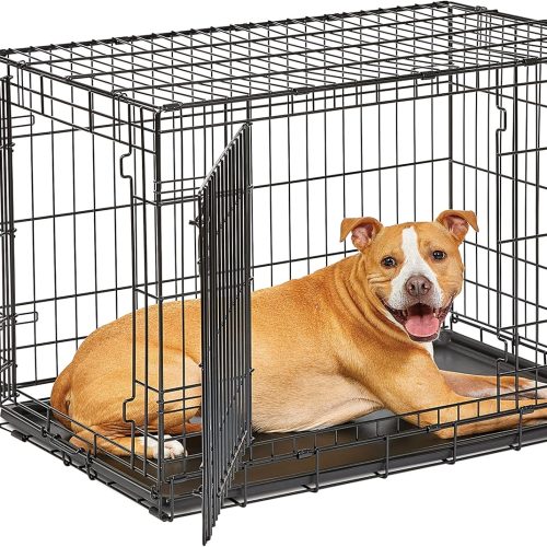 Pets Intermediate LifeStages Double Door 36-Inch Folding Dog Crate, Enhanced Security, Includes Leak-Proof Pan, Divider Panel, Handle, Rubber Feet