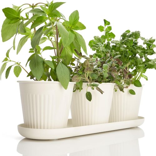 Beautiful Herb Garden Planter Indoor Set of 3 - Perfect for Any Kitchen Window Sill or Countertop - A Modern Decor Gardening Planter Kit Incl. Tray & Drainage Holes to Grow Fresh Herbs at Home