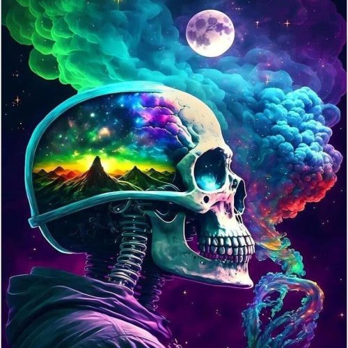 DIY Skull Paint by Numbers Kits for Adults,Paint by Number for Adults Beginner Moon,Skeleton Paint by Numbers Kits on Canvas Without Frame for Home Wall Decor 16x20inch