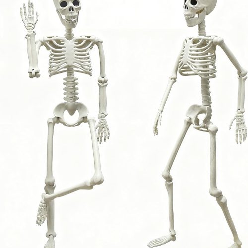 2 Pack 3 ft Halloween Skeleton Posable, 36” Full Body Human Skeleton with Movable Joints for Halloween Haunted House Graveyard Party Scary Indoor Outdoor Decor