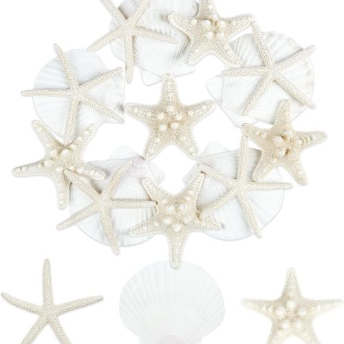 15 PCS Starfish and Scallop Shells, 2"-4" Natural Seashells White Seashells Large Seashells for Crafts Wedding Decor Beach Theme Party, Fish Tank and Vase Filler
