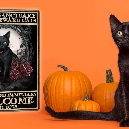 Vintage Halloween Decorations Indoor Black Cat Wall Art Witchy Room Decor Home Bedroom Halloween Decor Black Cat Signs 8x12 Inch