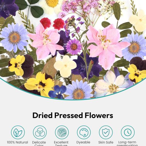 Dried Flowers, Resiners 58Pcs Pressed Flowers for Craft Purple Real Natural Dried Flowers Dry Leaves Kit for DIY Making Crafts Resin Soap Candle Scrapbook Supplies Card Making Jewelry