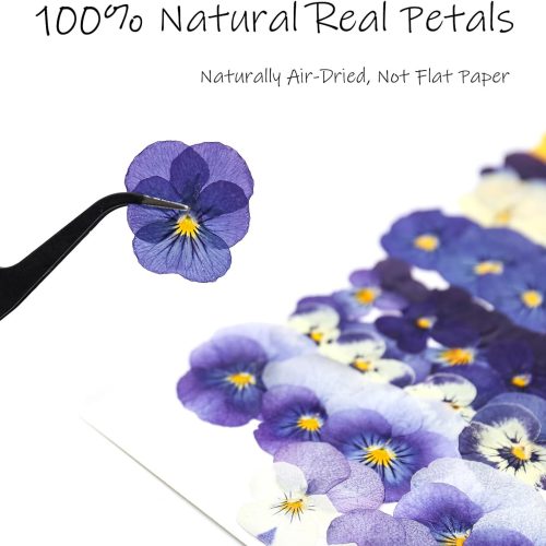 56 Pcs 8 Kinds Dried Pressed Pansies Flowers for Crafts, Real Natural Pressed Dried Flowers for Cake Decorating, Purple Bulk Dry Flowers for Resin, DIY Art, Jewelry, Candle & Soap Making with Tweezers