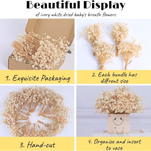 4700+ Mini Dried Babys Breath Flowers, 90+Pcs Ivory White Baby Breath Flower Bulk, Dried Flowers for Crafts, Wedding Decor Boho Invitation, Resin Candle Making, Dry Babies Flowers, Rustic Gypsophila
