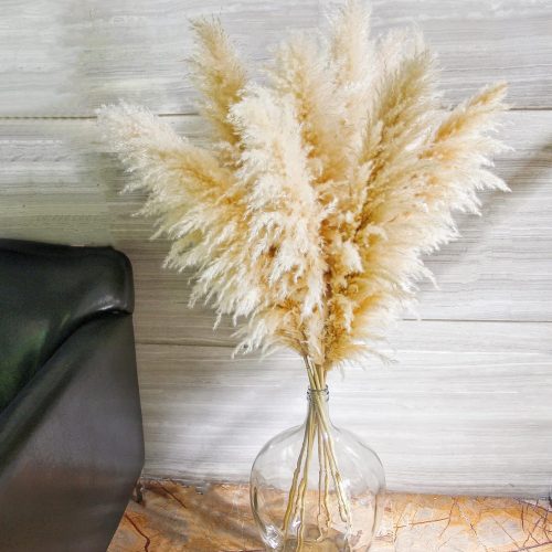 10 Stems 46" inch Dried Pampas Grass Decor Tall, Large Pompas Grass, Boho Neutral Home Decor Bouquet, Fluffy Pampass Grass for Floor Vase Wedding Floral Arrangements Wall Farmhouse Table Decor