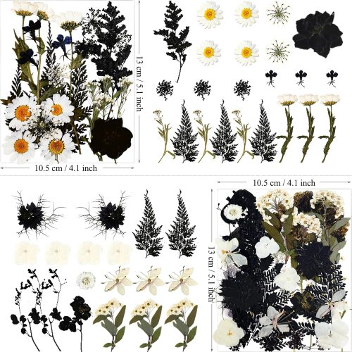 4 84Pcs Black Dried Pressed Flowers for Resin Molds, Bulk Real Natural Dry Floral for DIY Art Crafts, Epoxy Jewelry, Candle, Soap Making, Nails Decor, Phone Case