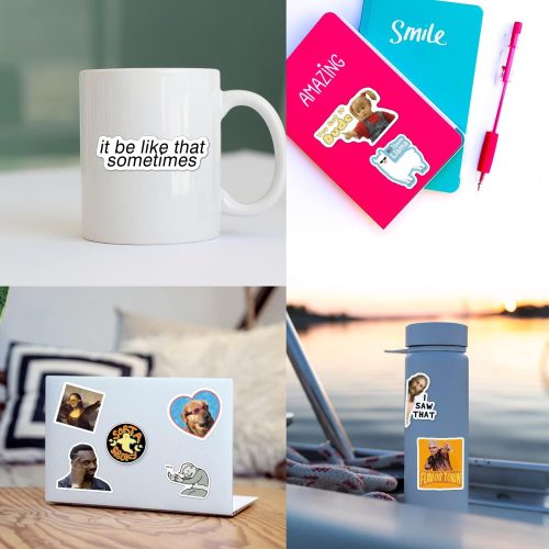220PCS Funny Meme Stickers Pack for Laptop, Trendy Vinyl Sticker for Computer, Phones, macbooks (Waterproof)