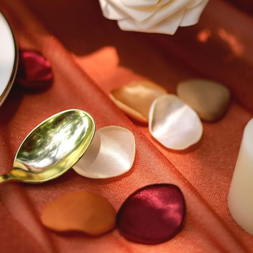 Lookein 300pcs Terracotta Rose Petals Satin Flower Petals for Wedding Flower Girl Basket Table Centerpieces Aisle Runner Party Confetti Bridal Shower Dinner Wedding Decoration