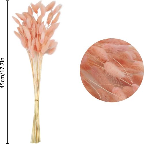 Uieke 17’’ Natural Bunny Tails Dried Flowers, 50 Pcs Dried Lagurus Ovatus, Dried Pink Pampas Grass Decor for Farmhouse Flower Arrangements Wedding Home Boho Party Decorations