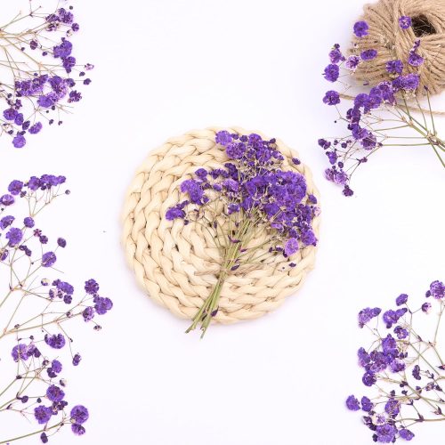 30 Branches Purple Pressed Flowers Bulk Dried Flower Kit for Resin , Dried Babys Breath Flower Natural with Tweezer for Crafts Christmas DIY Gift Scrapbooking Photo Props.