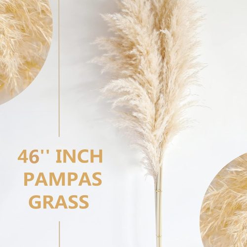 46" inch 10 Stems Natural Pampas Grass Decor Tall, Pompas Grass, Tall Pampas Grass for Weddingm, Farmhouse, Boho Home Decor (Beige)