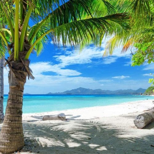 4 7X5FT Summer Tropical Sea Beach Backdrop Photography Sunset Hawaiian Seaside Ocean Palm Background for Wedding Birthday Party Banner Baby Shower D428