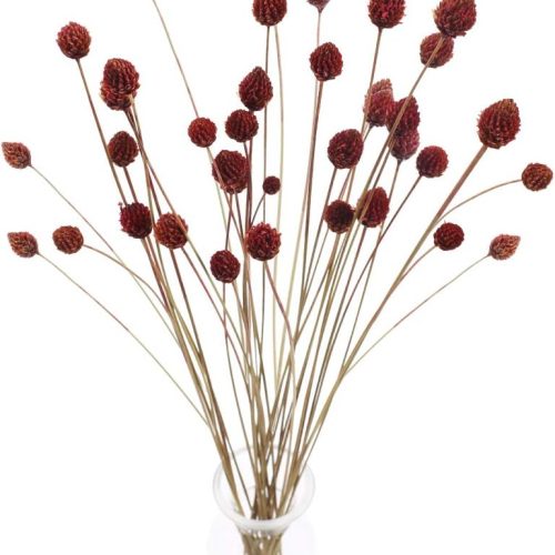 Fall Flowers Artificial Faux Gerbera Daisies Flowers Fake Silk Flowers Arrangements Fall Cemetery Flowers for Grave for Home Indoor Table Vase Wedding Party Autumn Thanksgiving Decor (13.38in)