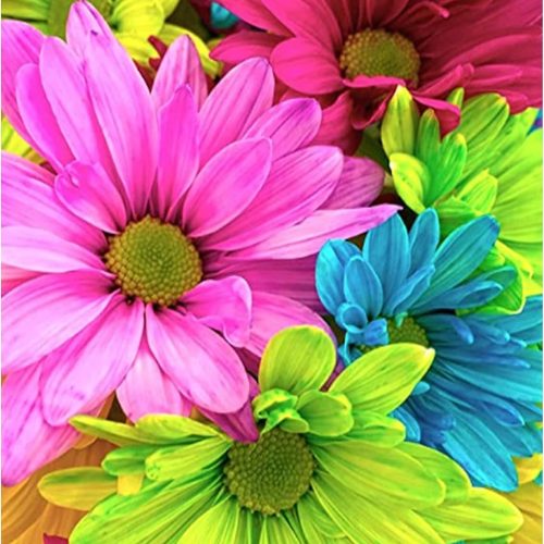 5D Diamond Art Painting Kits Flowers for Adults,Colorful Daisy DIY Diamond Art Full Round Diamond Drill,Gebera Daisy Painting with Round Diamonds for Home Wall Decor Gift(30x40cm/11.8X15.7inch)